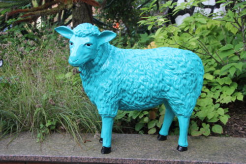 Große Schafe