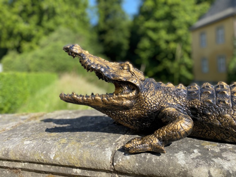 Rico / großes Krokodil 90cm – Bild 2