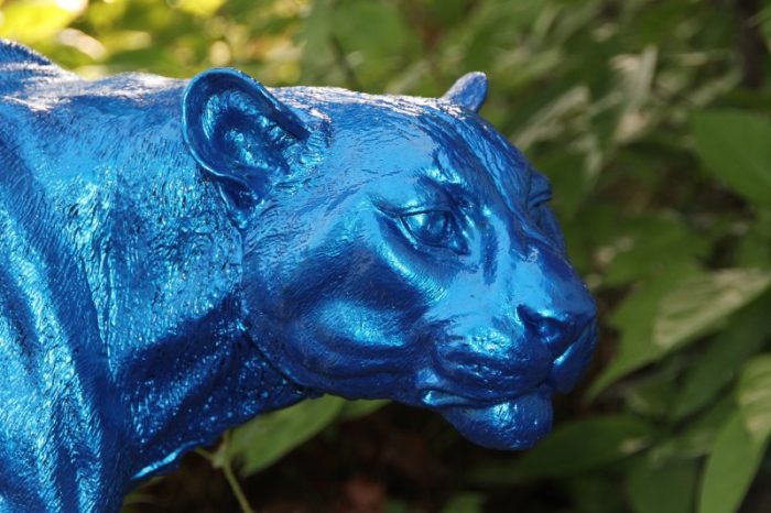 Masu / Jaguar – Bild 2